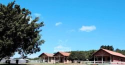 Fazenda à Venda Dupla Aptidão Lavoura e Pecuária Raridade no interior do Paraná