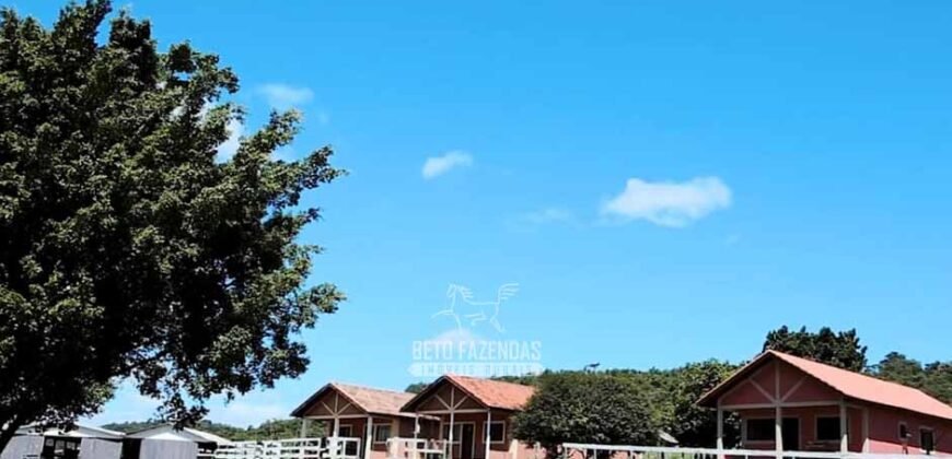 Fazenda à Venda Dupla Aptidão Lavoura e Pecuária Raridade no interior do Paraná