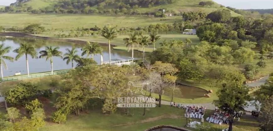 Fazenda à Venda Dupla Aptidão Lavoura e Pecuária Raridade no interior do Paraná