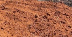 Fazenda de Soja à Venda 473 Hectares com Infraestrutura e Logística no Interior do Paraná