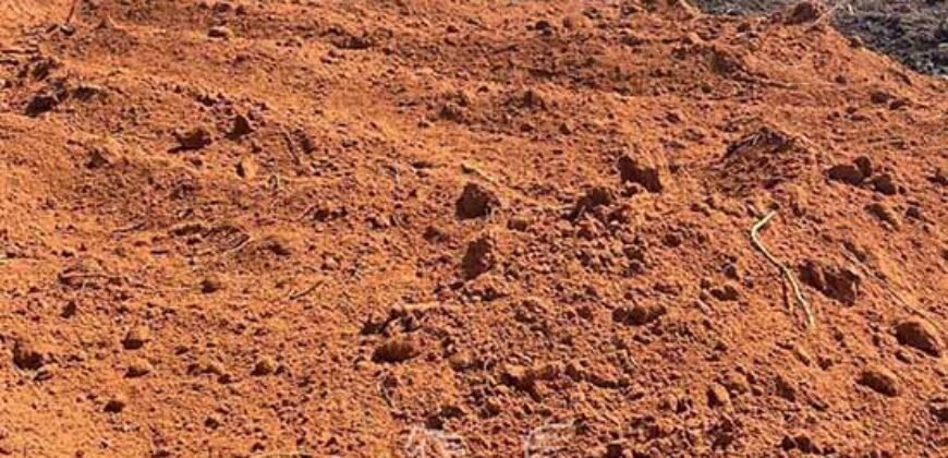 Fazenda de Soja à Venda 473 Hectares com Infraestrutura e Logística no Interior do Paraná