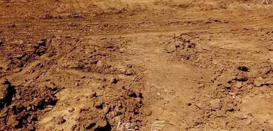 Fazenda de Soja à Venda 473 Hectares com Infraestrutura e Logística no Interior do Paraná