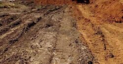 Fazenda de Soja à Venda 473 Hectares com Infraestrutura e Logística no Interior do Paraná
