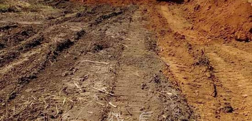 Fazenda de Soja à Venda 473 Hectares com Infraestrutura e Logística no Interior do Paraná