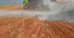 Fazenda de Soja à Venda 473 Hectares com Infraestrutura e Logística no Interior do Paraná