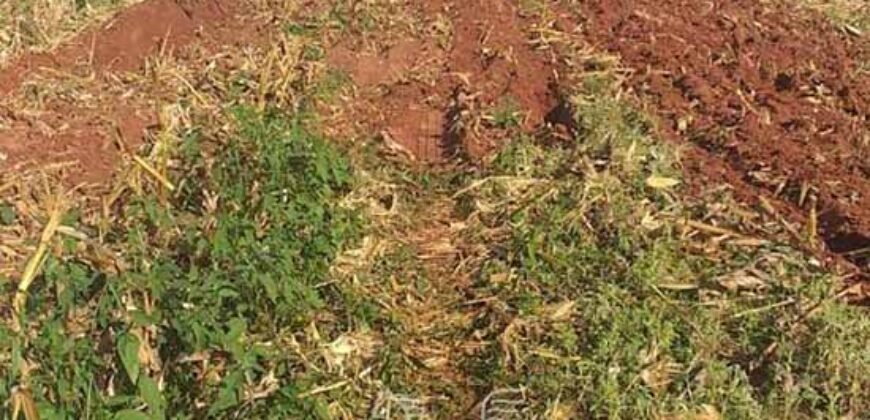 Fazenda de Soja à Venda 473 Hectares com Infraestrutura e Logística no Interior do Paraná