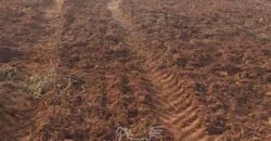 Fazenda de Soja à Venda 473 Hectares com Infraestrutura e Logística no Interior do Paraná