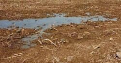Fazenda de Soja à Venda 473 Hectares com Infraestrutura e Logística no Interior do Paraná