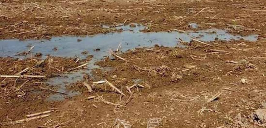 Fazenda de Soja à Venda 473 Hectares com Infraestrutura e Logística no Interior do Paraná