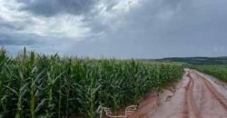 Fazenda de Soja à Venda 473 Hectares com Infraestrutura e Logística no Interior do Paraná