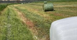 Fazenda de Soja à Venda 473 Hectares com Infraestrutura e Logística no Interior do Paraná