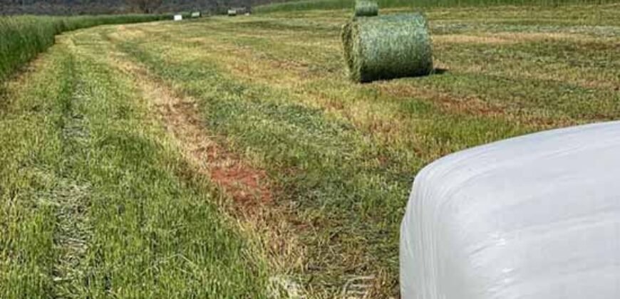 Fazenda de Soja à Venda 473 Hectares com Infraestrutura e Logística no Interior do Paraná