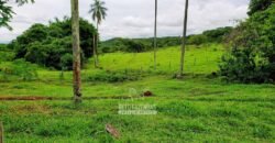 Fazenda à Venda 61 Hectares Potencial Agrícola e Investimento Turístico | Sacramanto/MG