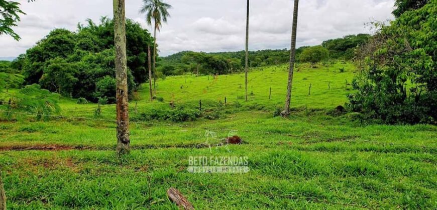 Fazenda à Venda 61 Hectares Potencial Agrícola e Investimento Turístico | Sacramanto/MG