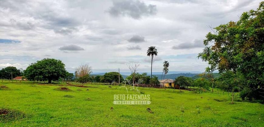 Fazenda à Venda 61 Hectares Potencial Agrícola e Investimento Turístico | Sacramanto/MG