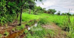 Fazenda à Venda 61 Hectares Potencial Agrícola e Investimento Turístico | Sacramanto/MG