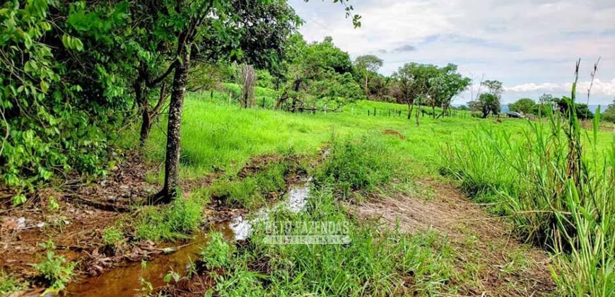 Fazenda à Venda 61 Hectares Potencial Agrícola e Investimento Turístico | Sacramanto/MG