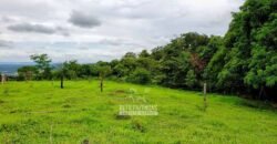 Fazenda à Venda 61 Hectares Potencial Agrícola e Investimento Turístico | Sacramanto/MG