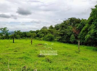 Fazenda à Venda 61 Hectares Potencial Agrícola e Investimento Turístico | Sacramanto/MG