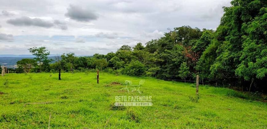 Fazenda à Venda 61 Hectares Potencial Agrícola e Investimento Turístico | Sacramanto/MG