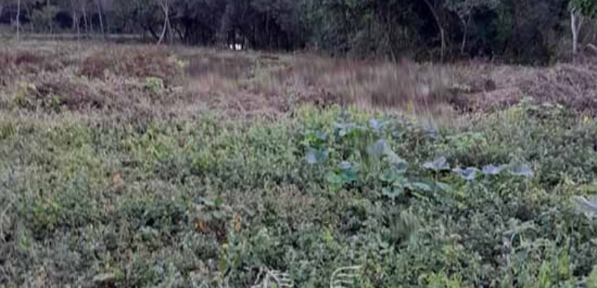 Fazenda à Venda 49,42 Hectares Próximo à Gruta dos Palhares no Triângulo Mineiro | Sacramento/MG