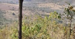 Fazenda à Venda 49,42 Hectares Próximo à Gruta dos Palhares no Triângulo Mineiro | Sacramento/MG