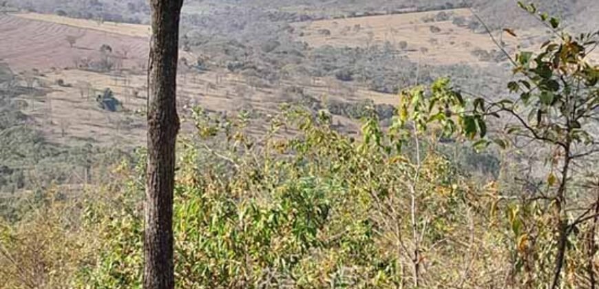 Fazenda à Venda 49,42 Hectares Próximo à Gruta dos Palhares no Triângulo Mineiro | Sacramento/MG