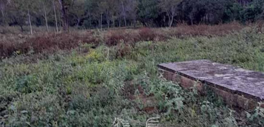 Fazenda à Venda 49,42 Hectares Próximo à Gruta dos Palhares no Triângulo Mineiro | Sacramento/MG