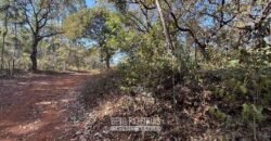 Fazenda à Venda 49,42 Hectares Próximo à Gruta dos Palhares no Triângulo Mineiro | Sacramento/MG