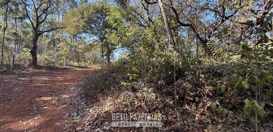 Fazenda à Venda 49,42 Hectares Próximo à Gruta dos Palhares no Triângulo Mineiro | Sacramento/MG