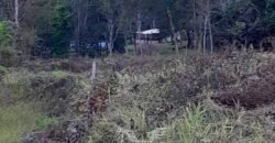 Fazenda à Venda 49,42 Hectares Próximo à Gruta dos Palhares no Triângulo Mineiro | Sacramento/MG