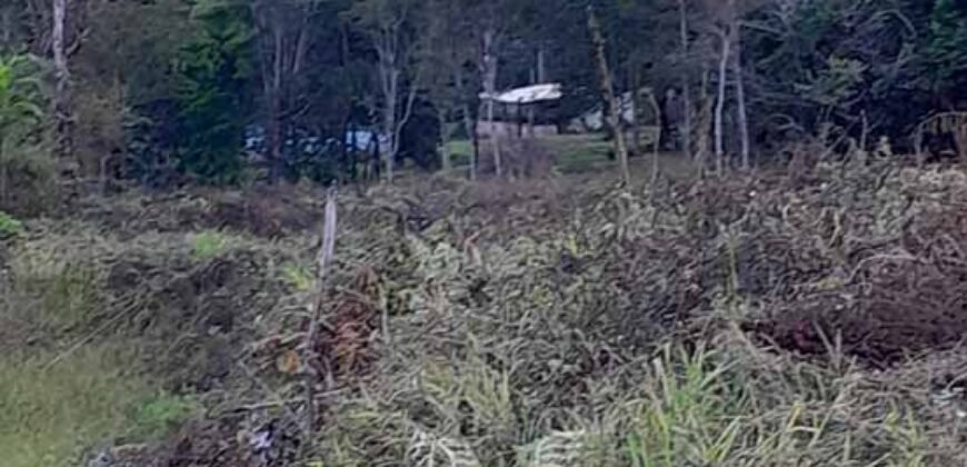 Fazenda à Venda 49,42 Hectares Próximo à Gruta dos Palhares no Triângulo Mineiro | Sacramento/MG