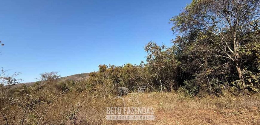 Fazenda à Venda 49,42 Hectares Próximo à Gruta dos Palhares no Triângulo Mineiro | Sacramento/MG