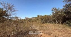 Fazenda à Venda 49,42 Hectares Próximo à Gruta dos Palhares no Triângulo Mineiro | Sacramento/MG
