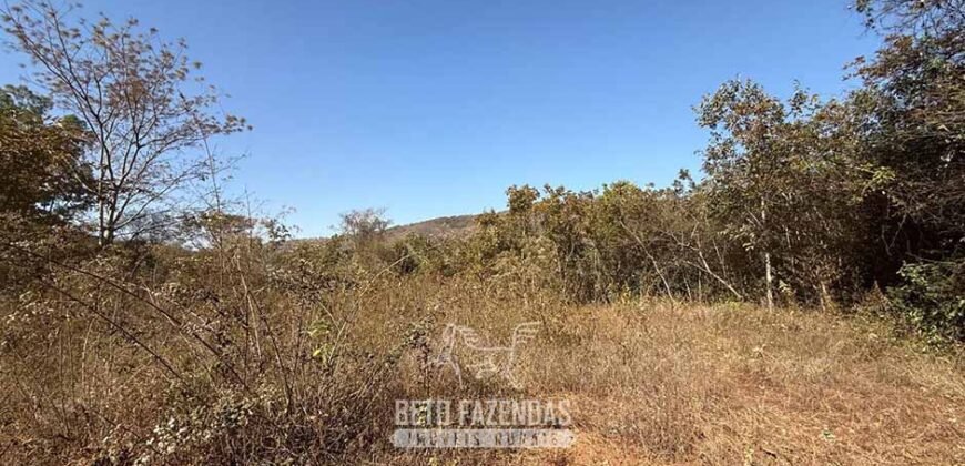 Fazenda à Venda 49,42 Hectares Próximo à Gruta dos Palhares no Triângulo Mineiro | Sacramento/MG
