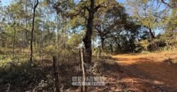 Fazenda à Venda 49,42 Hectares Próximo à Gruta dos Palhares no Triângulo Mineiro | Sacramento/MG
