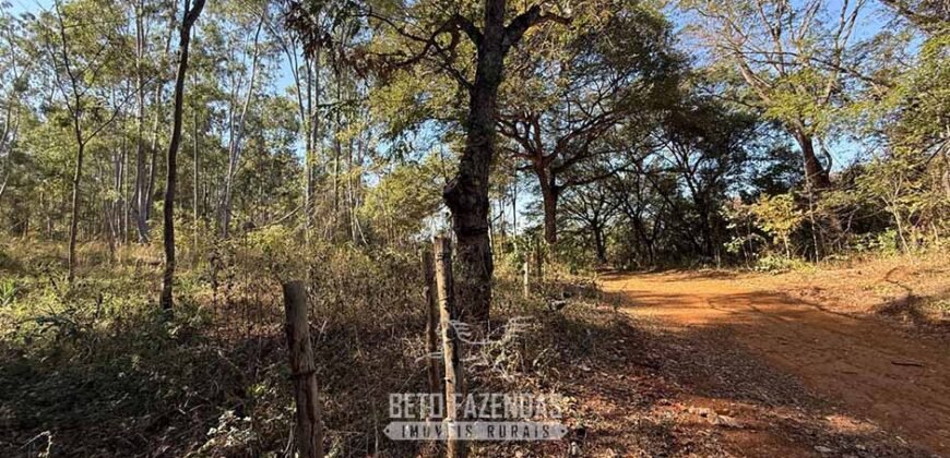 Fazenda à Venda 49,42 Hectares Próximo à Gruta dos Palhares no Triângulo Mineiro | Sacramento/MG