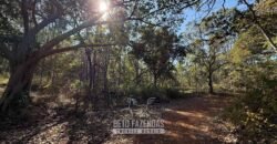 Fazenda à Venda 49,42 Hectares Próximo à Gruta dos Palhares no Triângulo Mineiro | Sacramento/MG