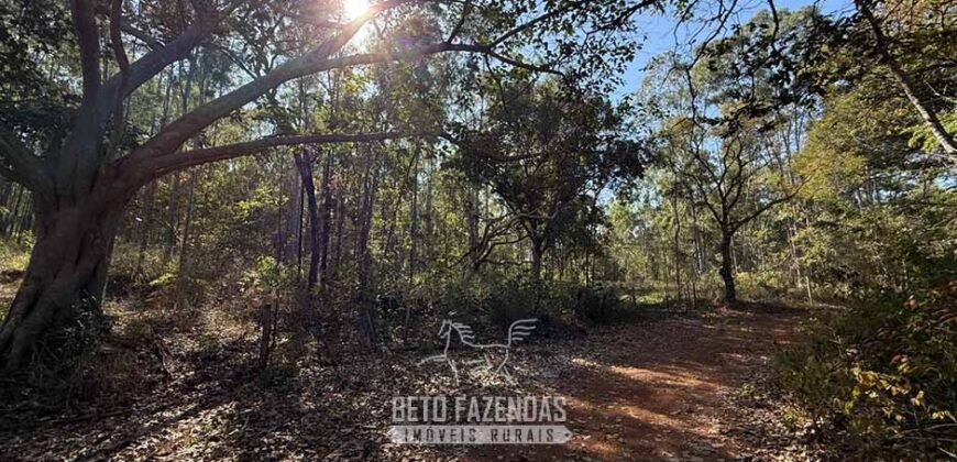 Fazenda à Venda 49,42 Hectares Próximo à Gruta dos Palhares no Triângulo Mineiro | Sacramento/MG