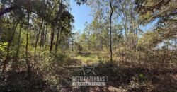 Fazenda à Venda 49,42 Hectares Próximo à Gruta dos Palhares no Triângulo Mineiro | Sacramento/MG