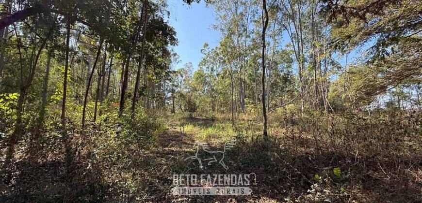 Fazenda à Venda 49,42 Hectares Próximo à Gruta dos Palhares no Triângulo Mineiro | Sacramento/MG