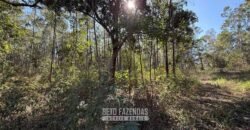 Fazenda à Venda 49,42 Hectares Próximo à Gruta dos Palhares no Triângulo Mineiro | Sacramento/MG