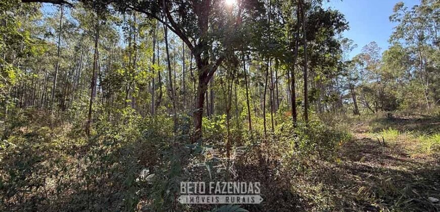 Fazenda à Venda 49,42 Hectares Próximo à Gruta dos Palhares no Triângulo Mineiro | Sacramento/MG