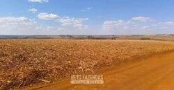 Fazendas à Venda 1.203 hectares cada Produtivas em Cana, Soja e Milho | Sacramento/ MG