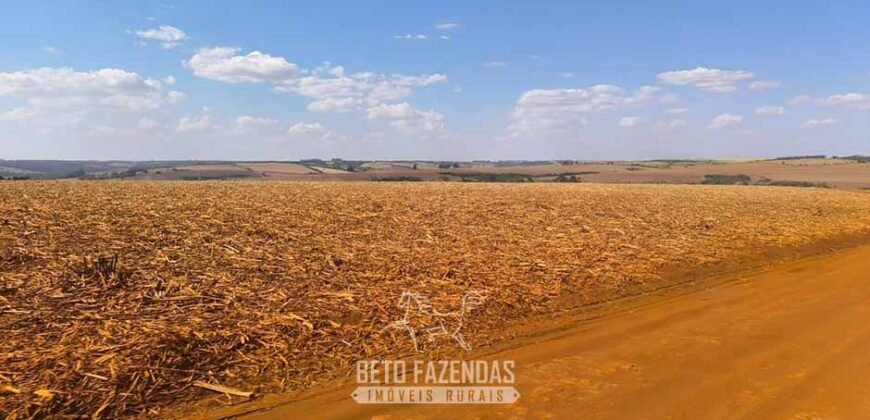 Fazendas à Venda 1.203 hectares cada Produtivas em Cana, Soja e Milho | Sacramento/ MG
