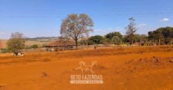 Fazendas à Venda 1.203 hectares cada Produtivas em Cana, Soja e Milho | Sacramento/ MG