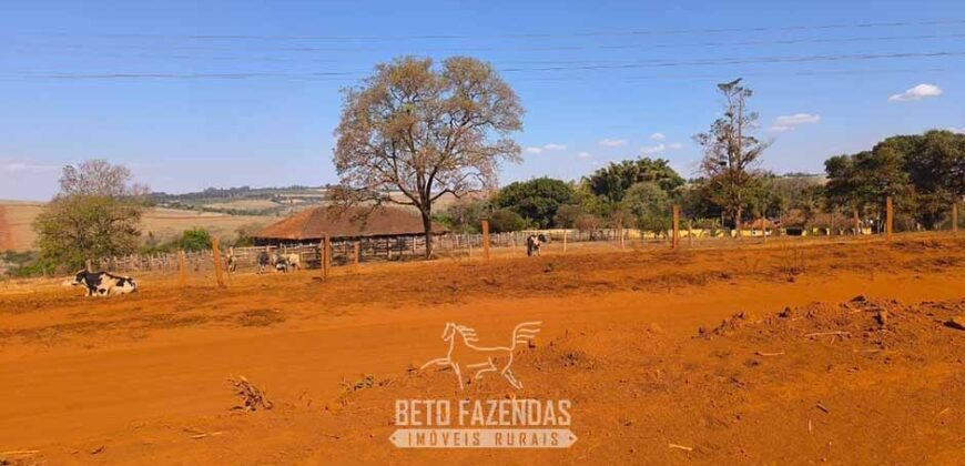 Fazendas à Venda 1.203 hectares cada Produtivas em Cana, Soja e Milho | Sacramento/ MG