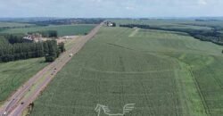 Fazenda de Soja à Venda 278 Hectares Às Margens do Asfalto | Região de Maringá/PR