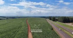 Fazenda de Soja à Venda 278 Hectares Às Margens do Asfalto | Região de Maringá/PR