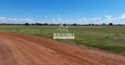 Fazenda à Venda 1.741 Hectares Atividade Agricula e Infraestrutura | Divinópolis/ TO